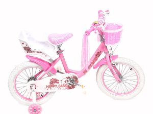 Bicicleta Rodado 16