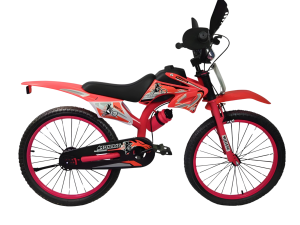 Bicicleta Rodado 20 C/roncadores