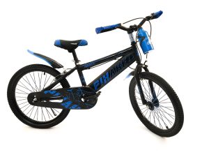Bicicleta Rodado 20 Con Caramañola
