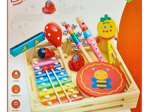 Set De 9 Instrumentos Musicales En Caja De Madera